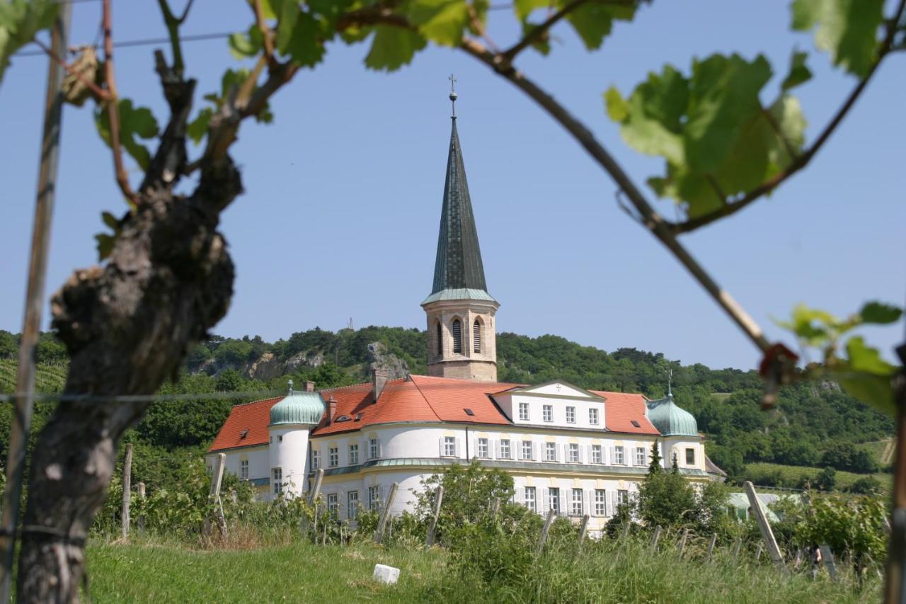 Schloss Gumpoldskirchen Kültér fotó