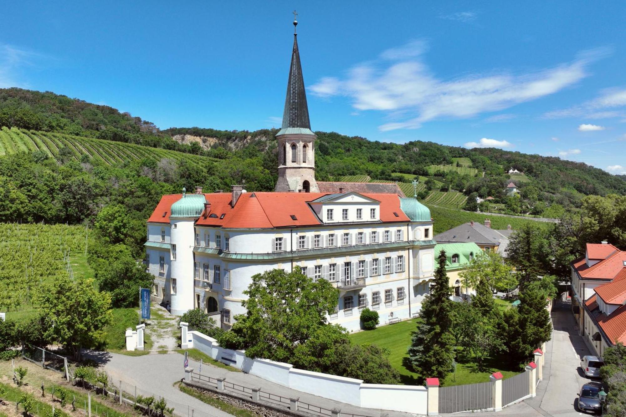 Schloss Gumpoldskirchen Kültér fotó