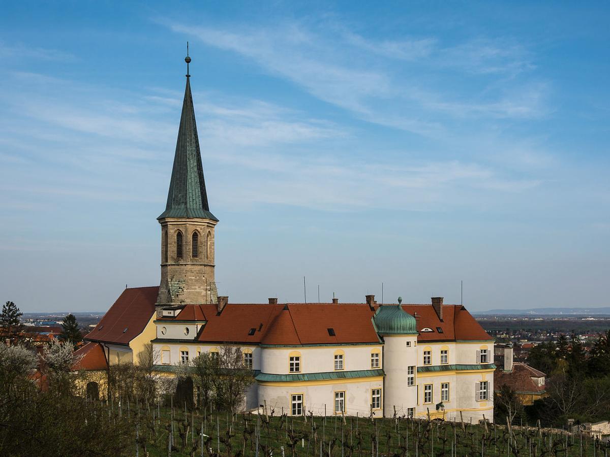 Schloss Gumpoldskirchen Kültér fotó