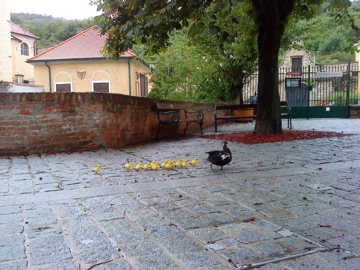 Schloss Gumpoldskirchen Kültér fotó