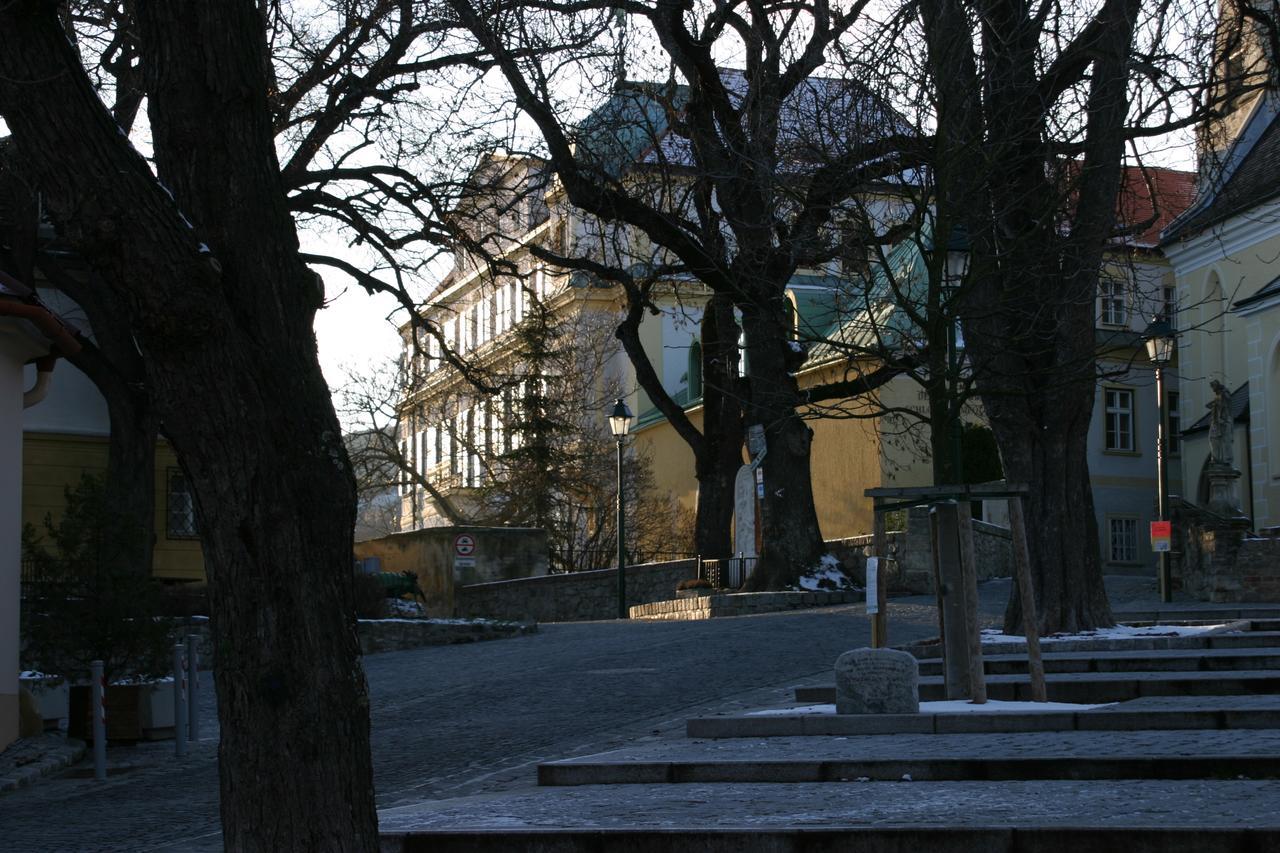 Schloss Gumpoldskirchen Kültér fotó