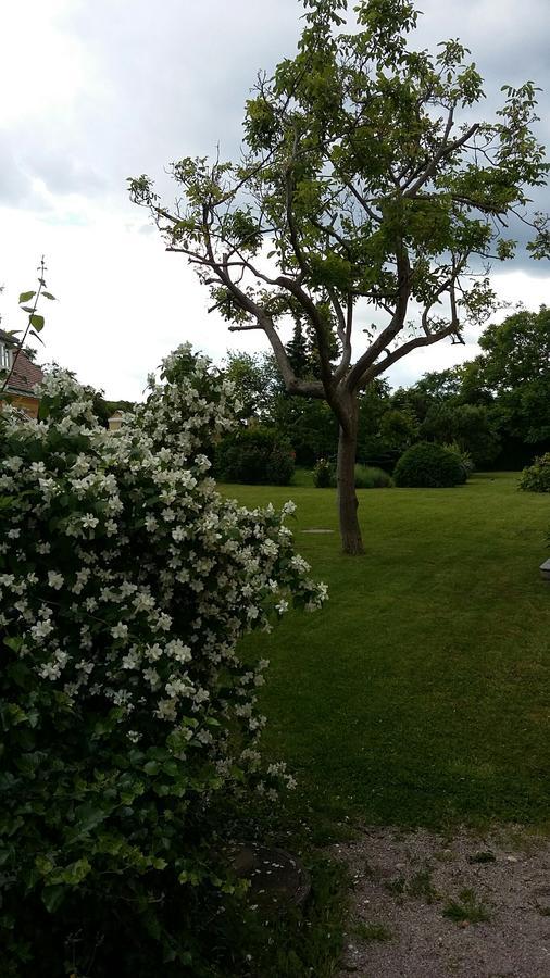 Schloss Gumpoldskirchen Kültér fotó