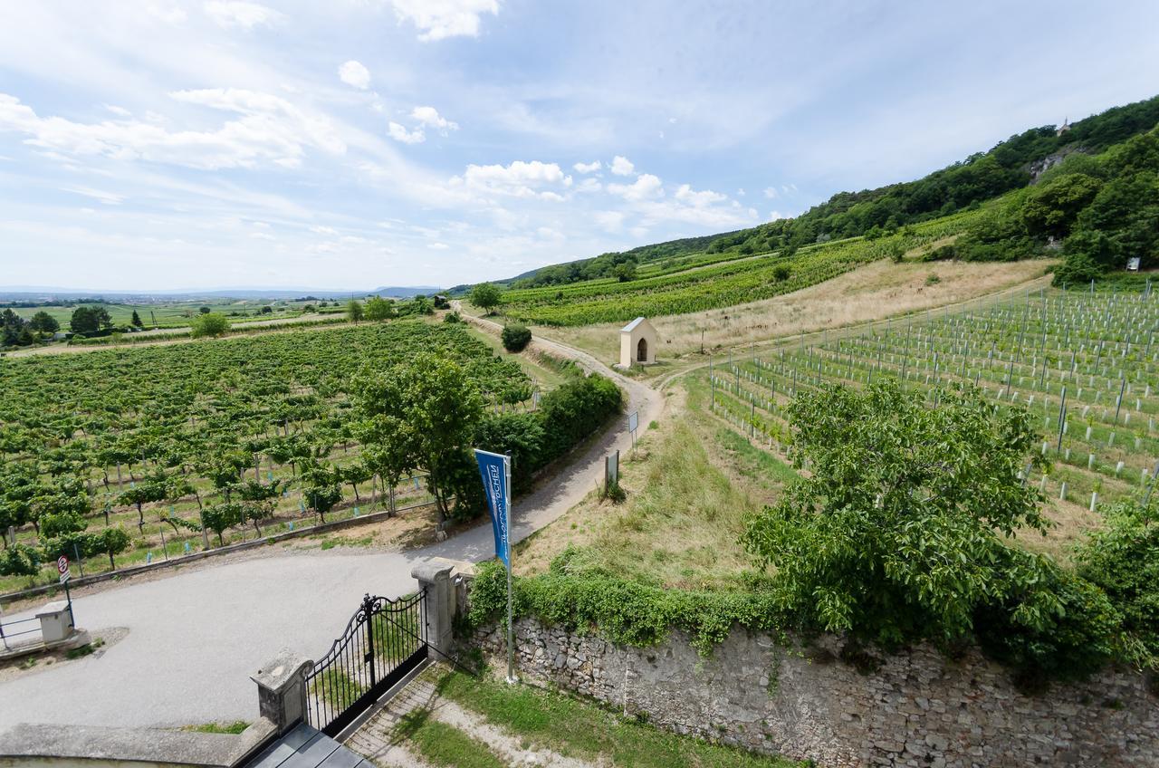 Schloss Gumpoldskirchen Kültér fotó